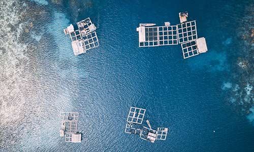white frames on top of water