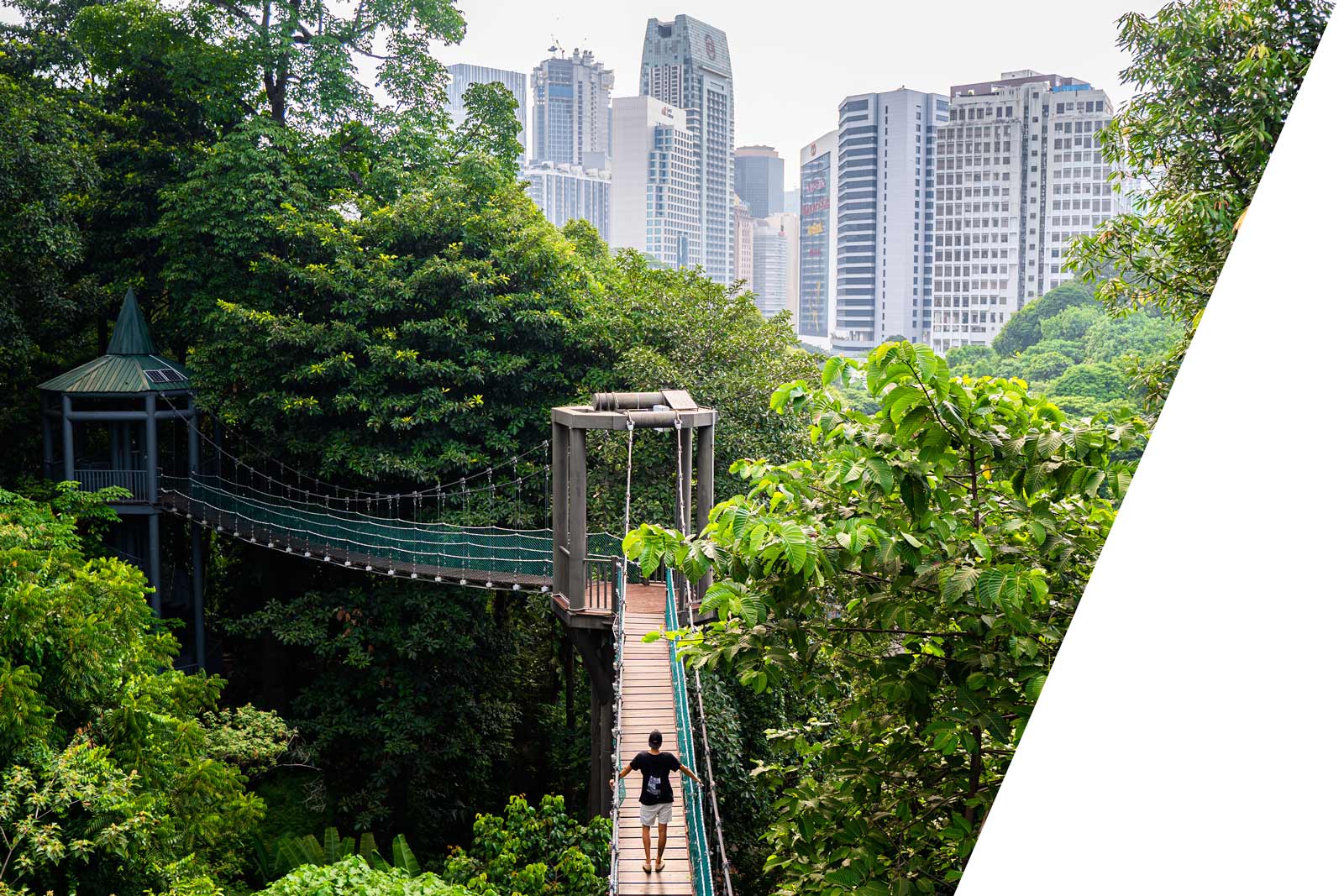 canopy walk in Kuala Lumpur Forest Eco Park